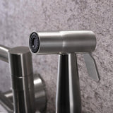 Modern Retractable Wall-mounted Pot Filler Matte Black Kitchen Faucet with Spray