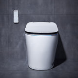 Automatic Toilet One-Piece Floor Mounted Self Clean Smart Toilet Tankless