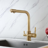 Stev Antique Brass Single Hole Dual Handle Kitchen Faucet with Water Filtering