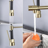 Pull Out Double Spout Kitchen Faucet Brushed Gold Double Function Sprayer Solid Brass