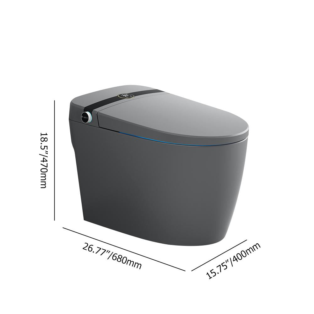 Elongated One-Piece Smart Toilet Floor Mounted Automatic Toilet in Black & Gold Rim