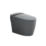 Elongated One-Piece Smart Toilet Floor Mounted Automatic Toilet in Black & Gold Rim