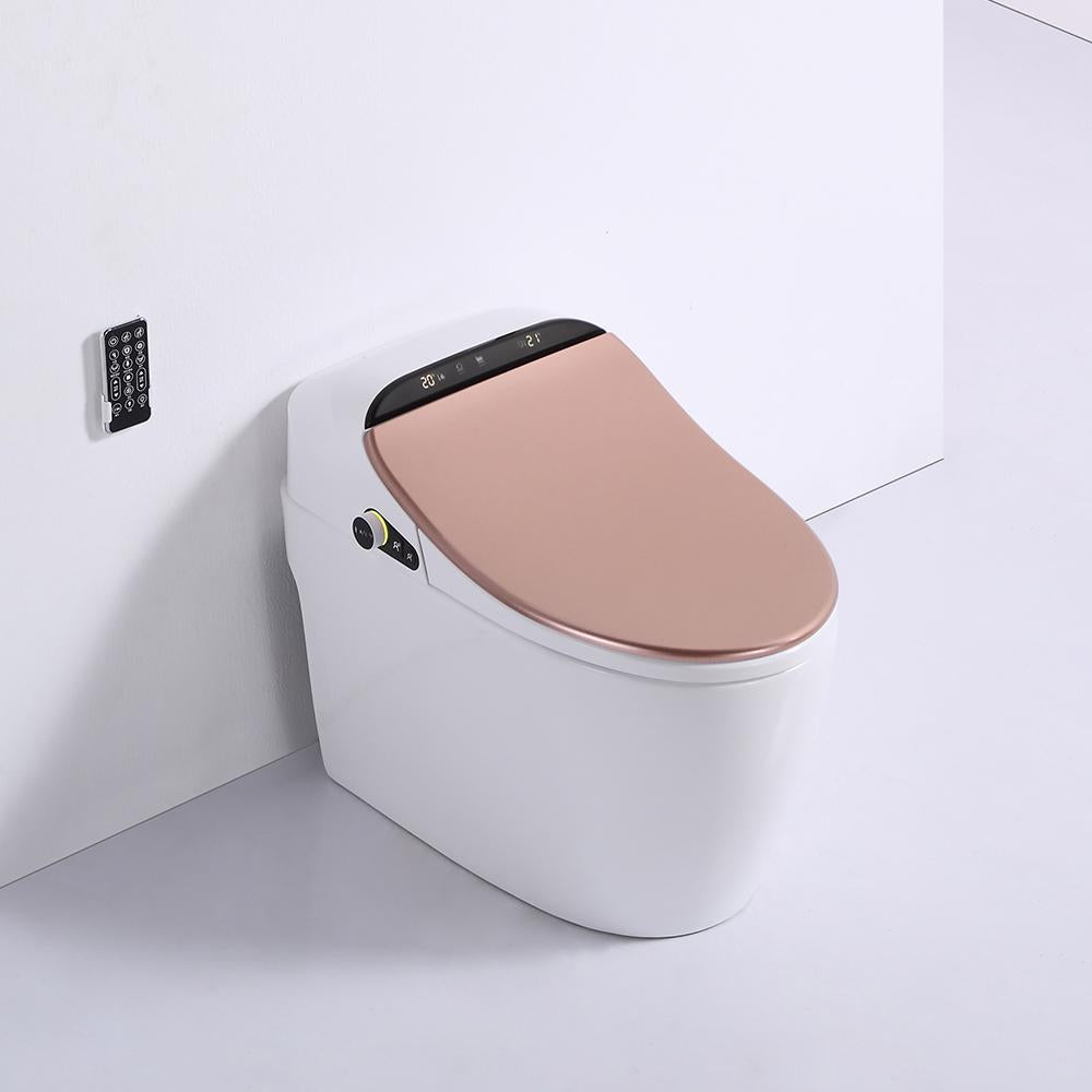 Modern Smart One-Piece 1.27 GPF Floor Mounted Elongated Toilet and Bidet with Seat
