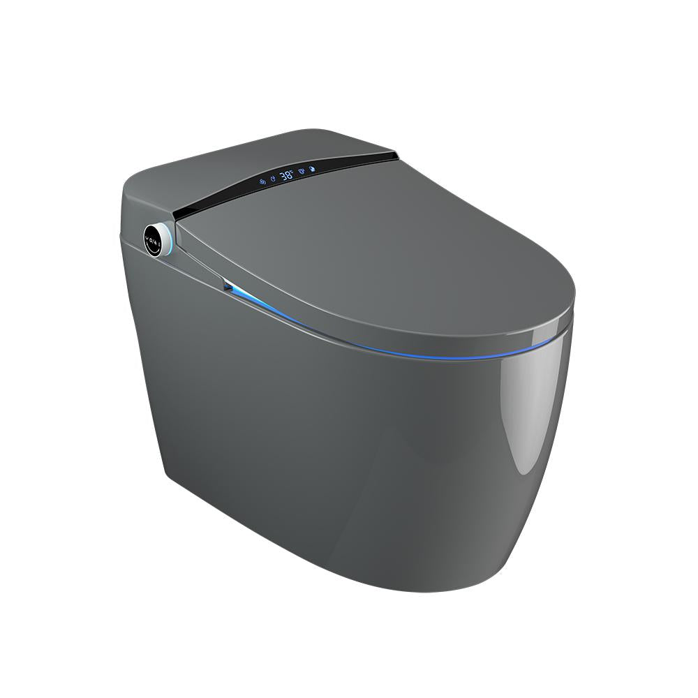 One-Piece Elongated Smart Toilet Floor Mounted Automatic Toilet Self-Clean