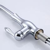Tracier Gooseneck Single Handle Kitchen Faucet with Pull Out Spray
