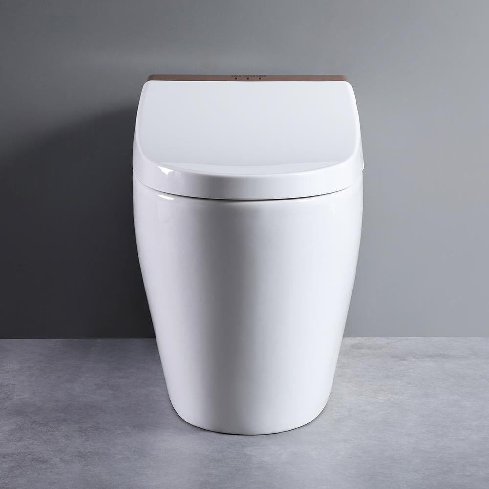 One-Piece Elongated Smart Toilet Floor Mounted Automatic Toilet Self-Clean
