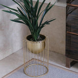 Flower Stand Gold Plant Stand for Indoors Modern Flower Stand in Large