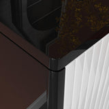 Aro Black Shoe Storage 18 Pairs Shoes Cabinet in Gold