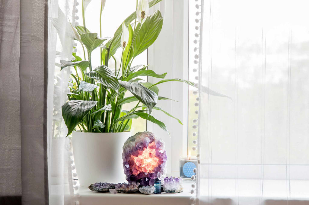 Feng Shui for Wealth: 2026 Guide to Activating Your Money Corner
