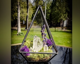 Creating a Crystal Garden for Positive Energy: A Wehomz Guide