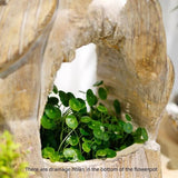 21.3″ Garden Buddha Statue - Durable Magnesium Oxide - Buddha Planter for Yard and Balcony