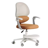 Adjustable Lift Writing Children's Study Chair.