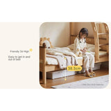 Rubber wood bunk bed.