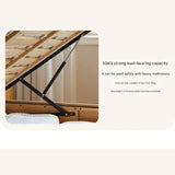 Beech Solid Wood Children's Box Bed