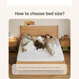 Beech Solid Wood Children's Box Bed