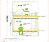 Beech solid wood children's bunk bed