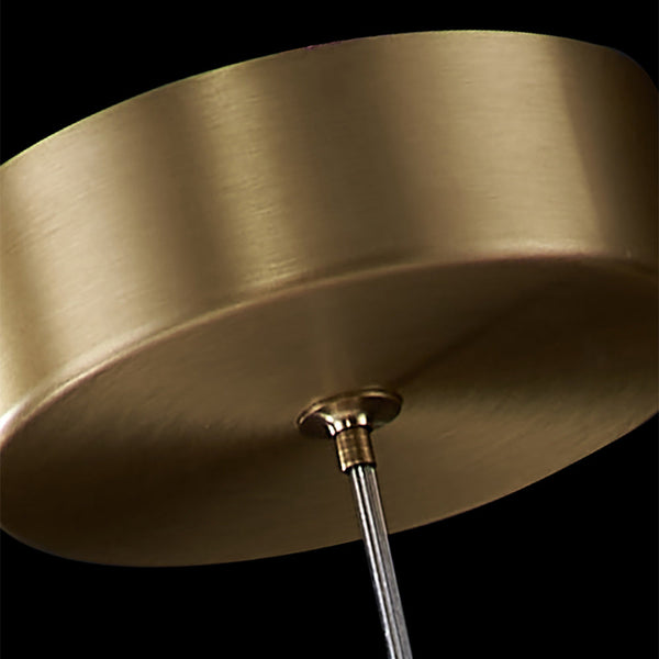 Gold Ring Pendant Light 1-Light LED Lighting with Adjustable Cable – WEHOMZ