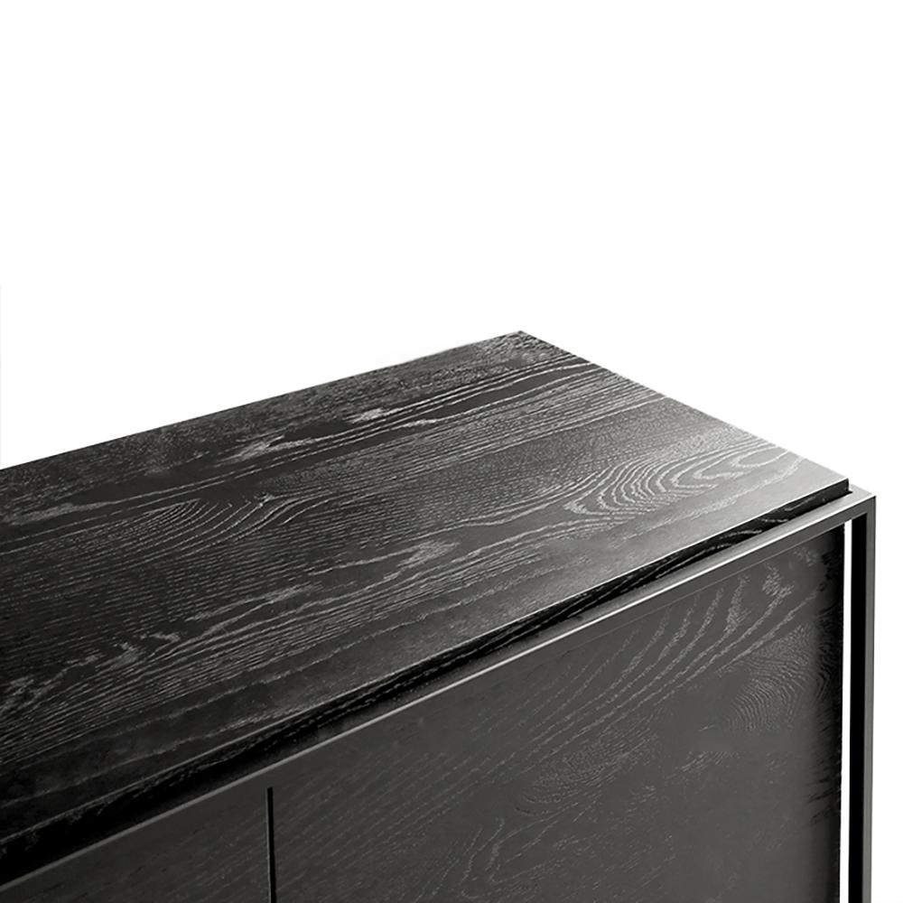 43" Nordic Minimalist Black Cabinet with 2 Doors on Metal Base