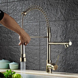 Brewst Luxury Single Hole Pull Out Sprayer Double Spout Kitchen Faucet Solid Brass