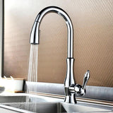 Tracier Gooseneck Single Handle Kitchen Faucet with Pull Out Spray