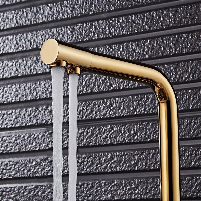 Stev Inviting Dual Handle Single Hole Kitchen Faucet with Water Filtering in Gold