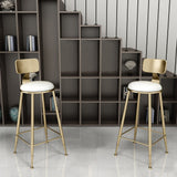 39.8" Modern White Bar Stool Set of 2 with Backs and Footrests Counter Height Stools