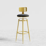 Swivel Adjustable Height Upholstered Bar Stool with Back Black Velvet Set of 2 Gold Legs