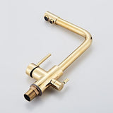 Stev Inviting Dual Handle Single Hole Kitchen Faucet with Water Filtering in Gold