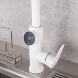 Weißer Küchenarmatur mit Pull-Down-Sprayer Einhand-Temperaturanzeige