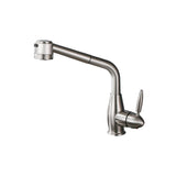Modern Single Lever Brushed Nickel Kitchen Faucet with Dual Pullout Sprayer