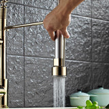Brewst Luxury Single Hole Pull Out Sprayer Double Spout Kitchen Faucet Solid Brass