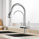 Water Filter Kitchen Faucet Pull Out Faucet in Matte Black Swirling Faucet Solid Brass